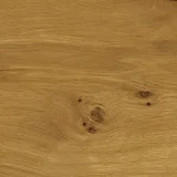 Próbka koloru Dąb Natura