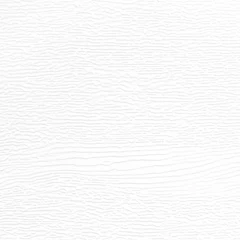 Próbka koloru Biały | RAL 9016 woodgrain