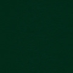 Próbka koloru Dark Green | 612505-167 smoothgrain