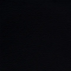 Próbka koloru Modern Black | woodgrain