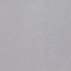 Próbka koloru Silbergrau | 116700 smoothgrain