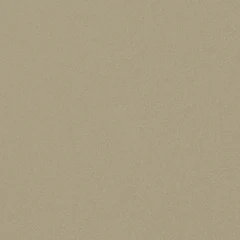 Próbka koloru Stone beige | F470-1028 smoothgrain