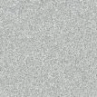 Próbka koloru SILVER GREY