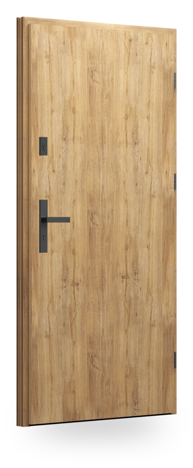 Wikęd 01 — drzwi stalowe, panel pełny