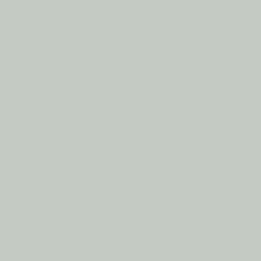 Próbka koloru Light Gray [RAL 7035]