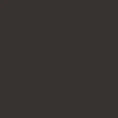Próbka koloru Truffle [RAL 8019]