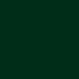 Próbka koloru Dark Green